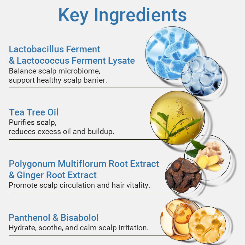 private label microbiome balance purifying scalp shampoo